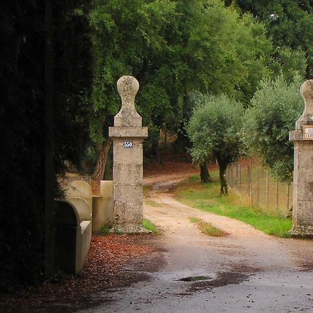 Вілла Quinta Do Cerquito Феррейра-ду-Зезере Екстер'єр фото