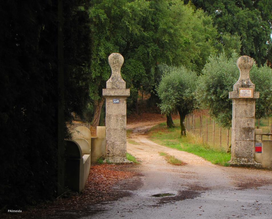 Вілла Quinta Do Cerquito Феррейра-ду-Зезере Екстер'єр фото