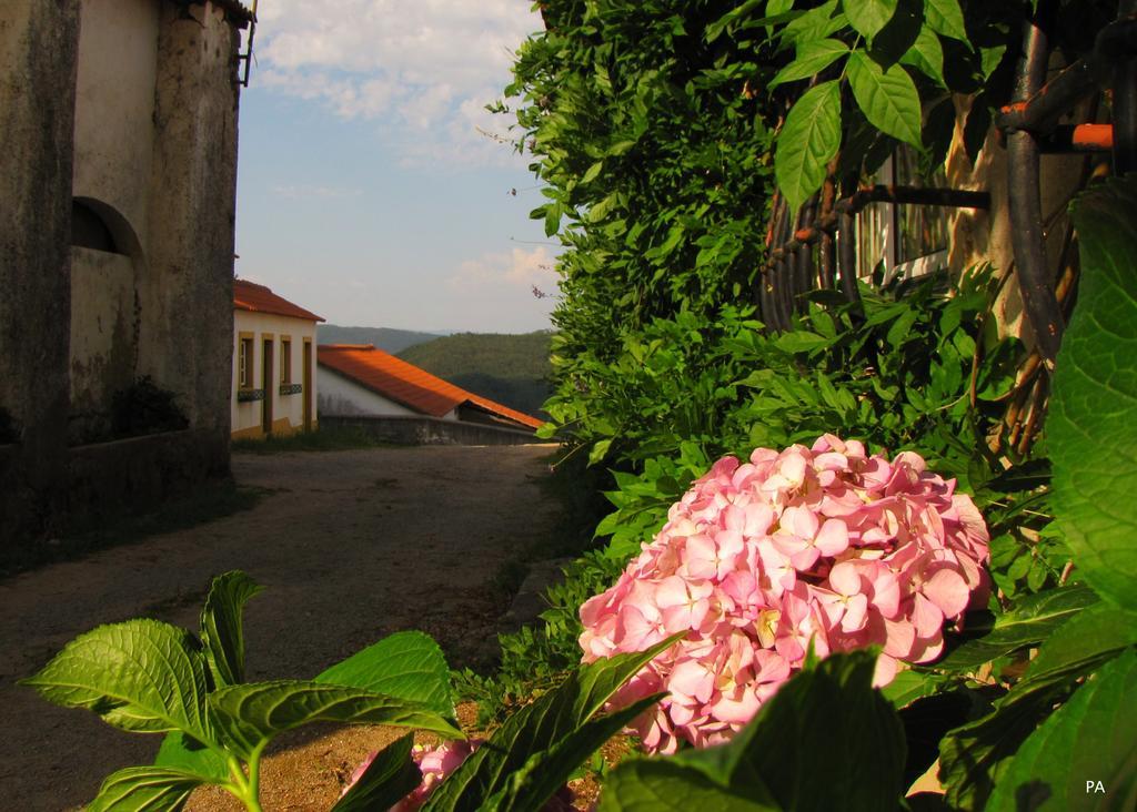 Вілла Quinta Do Cerquito Феррейра-ду-Зезере Екстер'єр фото
