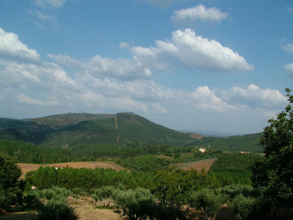 Вілла Quinta Do Cerquito Феррейра-ду-Зезере Екстер'єр фото