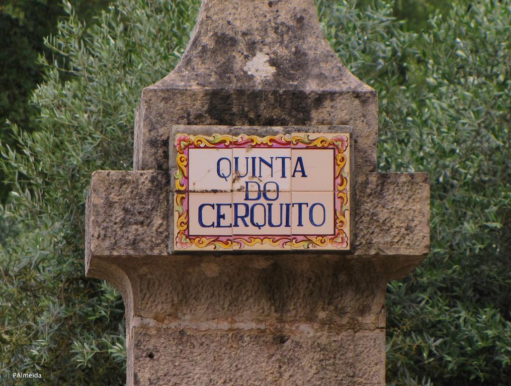 Вілла Quinta Do Cerquito Феррейра-ду-Зезере Екстер'єр фото