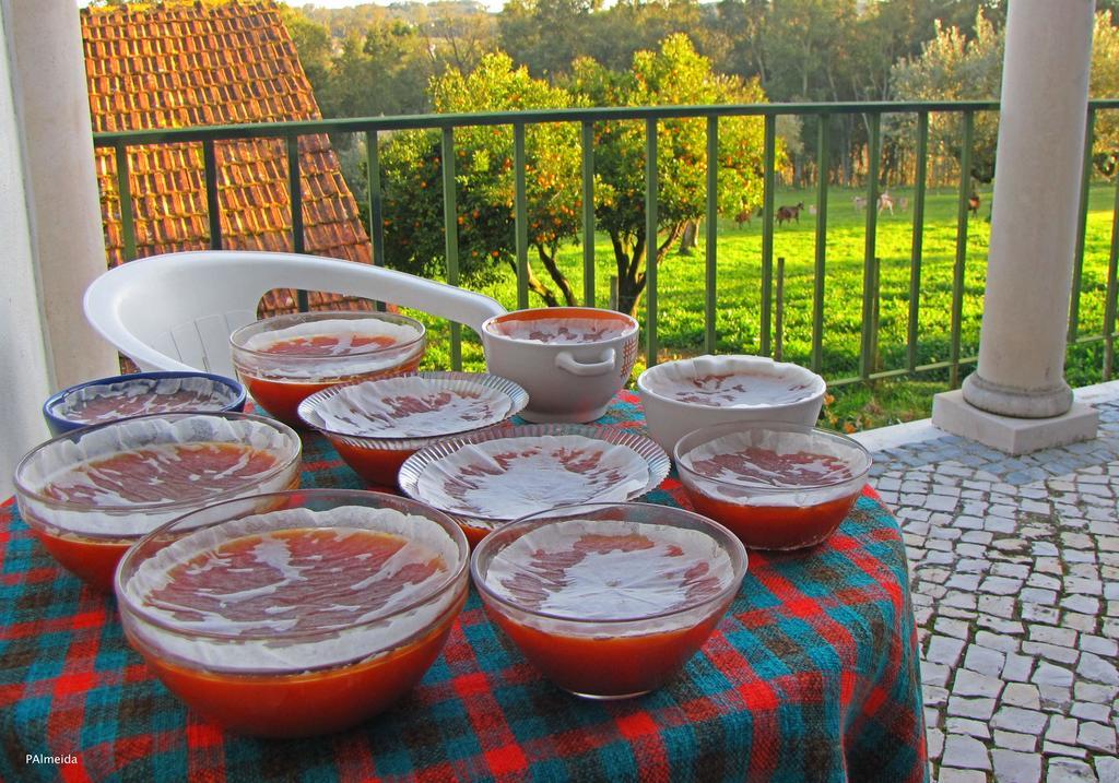 Вілла Quinta Do Cerquito Феррейра-ду-Зезере Екстер'єр фото